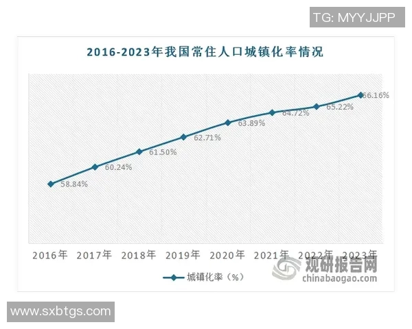 深圳羽毛球队转型之路的挑战与机遇全景解析